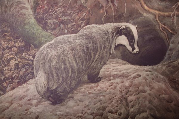 Badger School Poster, 1920s-IND-1419489