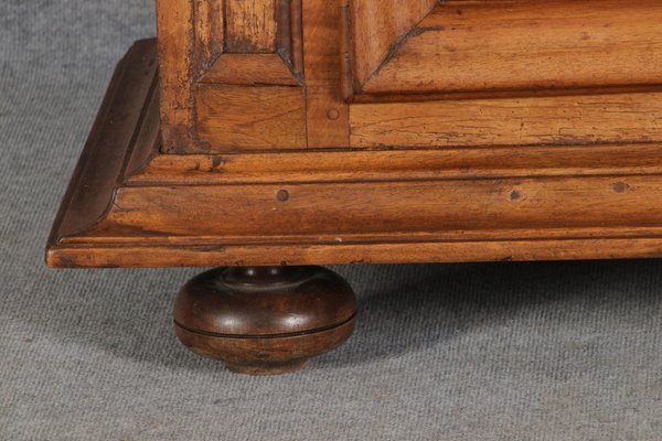 Baroque Narrow Cabinet in Walnut, France, 1700s-DXD-1790242