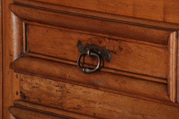 Baroque Narrow Cabinet in Walnut, France, 1700s-DXD-1790242