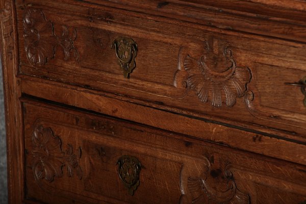 Baroque Showcase in Oak with Rocilla Carvings, 1760s-DXD-1703592