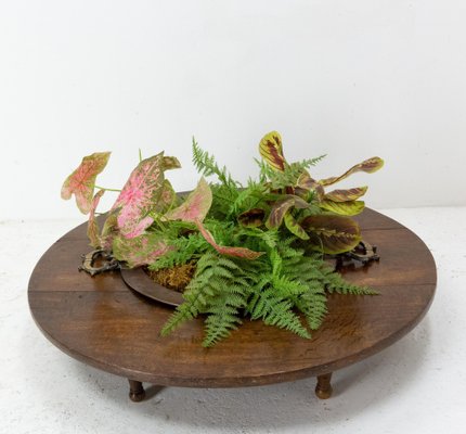 Basque Oak and Copper Brasero Planter, Spain, 1800s-RIU-1329305