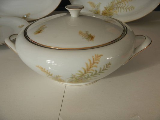 BAVARIA Tirschenreuth Dinner Plate and Tureen Set, 1970s, Set of 6-WWQ-1451062