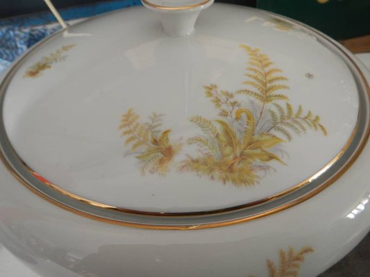 BAVARIA Tirschenreuth Dinner Plate and Tureen Set, 1970s, Set of 6-WWQ-1451062