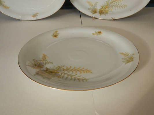 BAVARIA Tirschenreuth Dinner Plate and Tureen Set, 1970s, Set of 6-WWQ-1451062