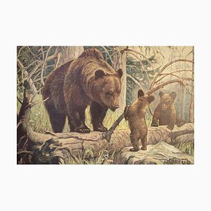 Bear and Cubs School Poster, 1920s-IND-1419490