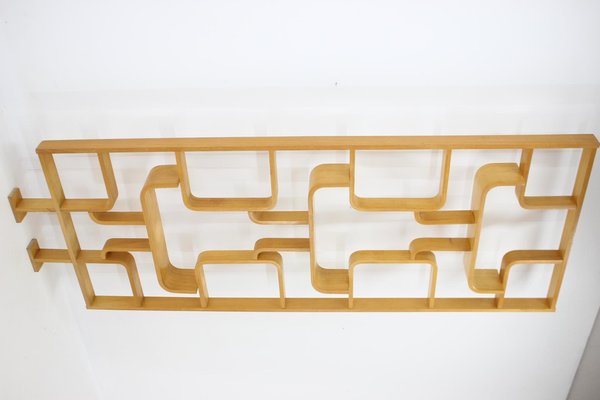 Beech Room Divider attributed to Ludvik Volak for Drevopodnik Holesov, 1970s-TZ-1382988