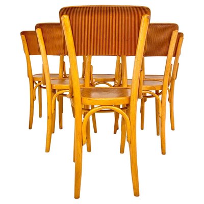 Beech Wood Bistro Chairs, Italy, 1950s, Set of 6-TOI-2043917