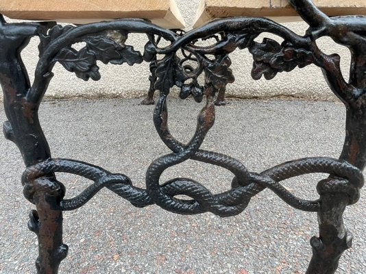 Bench in Cast Iron with Decor of Branches and Snakes, 1900-SDV-1335331