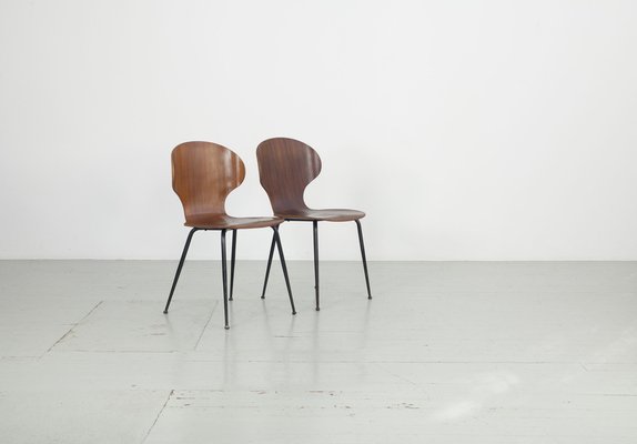 Bentwood Dining Chairs by Carlo Ratti, Italy, 1950s, Set of 2-AA-1764631