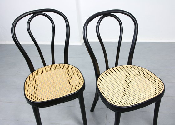 Bentwood No. 218 Chairs, Set of 4-HGJ-1123833