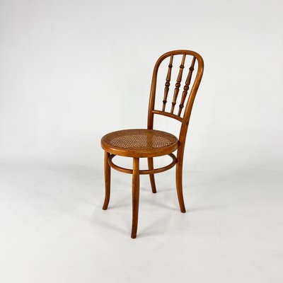 Bentwoord and Cane Chair from Thonet, 1940s-RMX-2021221