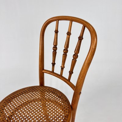 Bentwoord and Cane Chair from Thonet, 1940s-RMX-2021221