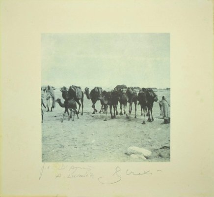 Bettino Craxi, Camels in the Tunisian Desert, Photolithograph, 1995-ZCI-1775826