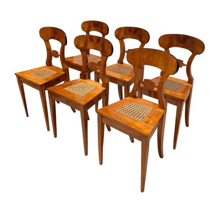 Biedermeier Board Chairs, Cherry Veneer and Mesh, Vienna, 1830s, Set of 6-NNB-588252