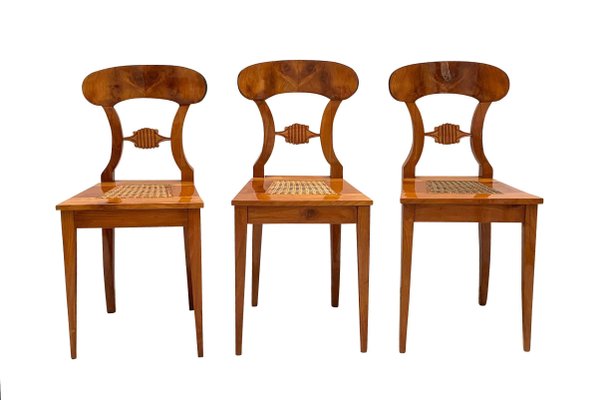 Biedermeier Board Chairs, Cherry Veneer and Mesh, Vienna, 1830s, Set of 6-NNB-588252