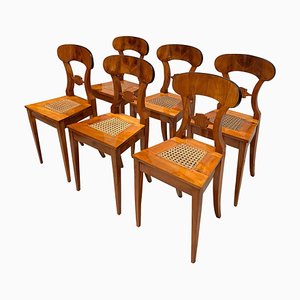 Biedermeier Board Chairs, Cherry Veneer and Mesh, Vienna, 1830s, Set of 6-NNB-588252