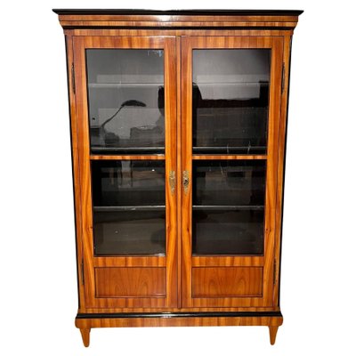 Biedermeier Bookcase, Cherry Veneer, South Germany 1820-NNB-1793931