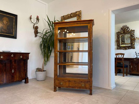 Biedermeier Bookcase in Glass-PXE-2039577