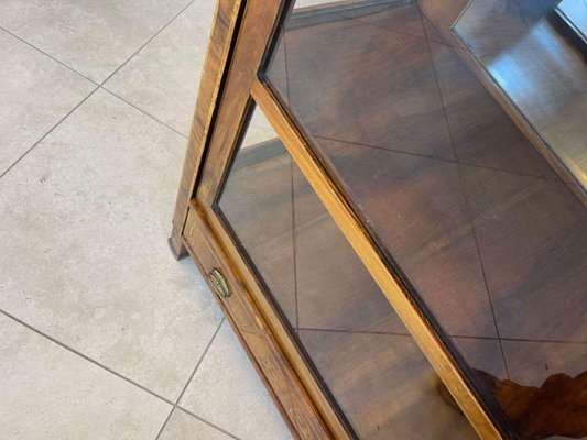 Biedermeier Bookcase in Glass-PXE-2039577