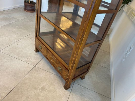 Biedermeier Bookcase in Glass-PXE-2039577