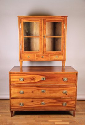 Biedermeier Cherrywood Chest of Drawers, Austria, 1825-TQA-1322332