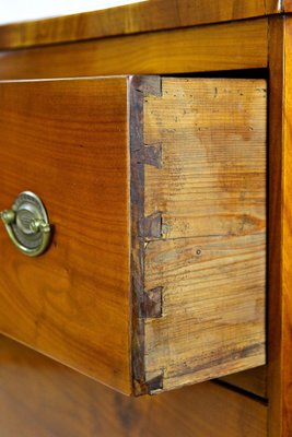 Biedermeier Cherrywood Chest of Drawers, Austria, 1830s-TQA-1410642