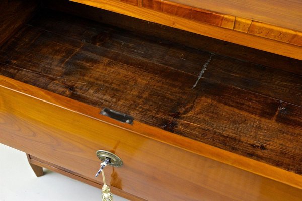 Biedermeier Cherrywood Chest of Drawers, Austria, 1830s-TQA-1410642