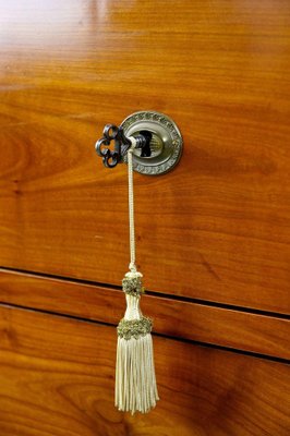 Biedermeier Cherrywood Chest of Drawers, Austria, 1830s-TQA-1410642