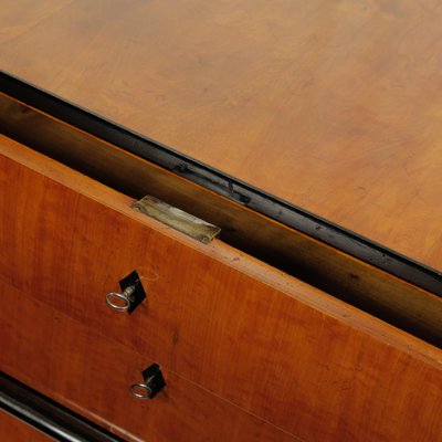 Biedermeier Chest of Drawers, Northern Germany, 1830-OGW-2033021