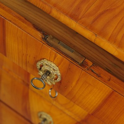 Biedermeier Chest of Drawers, Southern Germany, 1830-OGW-2033022