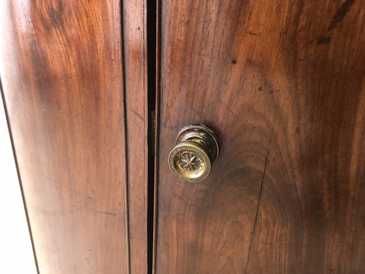 Biedermeier Corner Cabinet in Mahogany, 1840-QVR-1774533