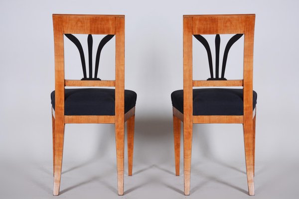 Biedermeier Czech Cherrywood Chairs, 1820s, Set of 2-WHY-588896