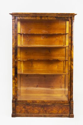 Biedermeier Display Cabinet in Walnut, 1820s-WHY-1768422