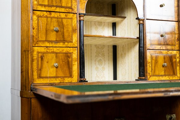 Biedermeier Metternich Secretaire-TSE-1180713