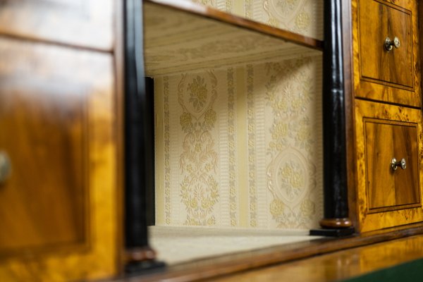 Biedermeier Metternich Secretaire-TSE-1180713