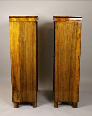 Biedermeier Nutwood Cabinets, Austria, 1830s, Set of 2-TQA-1322291