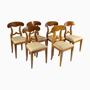 Biedermeier Nutwood Shovel Dining Chairs, 19th Century, Set of 6-TQA-1740772