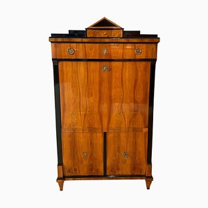 Biedermeier Secretaire in Cherry Veneer, South Germany, 1820s-NNB-907021