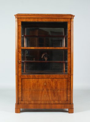 Biedermeier Showcase Cabinet, 1830s-ZLE-1425089