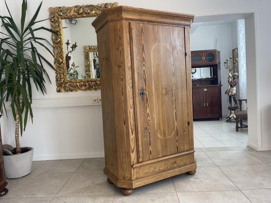 Biedermeier Spruce Wardrobe, 1830s-PXE-1700823