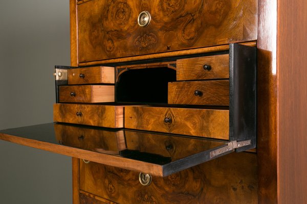 Biedermeier Walnut Chest of Drawers with Secretary-WZF-2036261