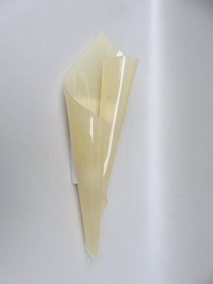 Big Acrylic Glass Wall Lights by Hanns Hoffmann for Hl-Leuchten, 1960s, Set of 2-EY-1332447