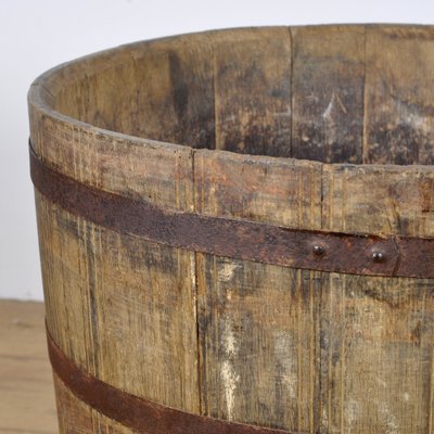 Big Oak Barrelled Planter, 1900s-IW-1760110