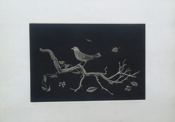 Bird on Roots Lithograph by Kiyoshi Hasegawa, 1960-KHH-541928