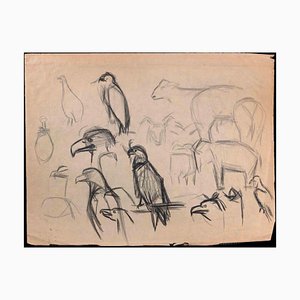 Birds, Original Drawing, Early 20th-Century-ZCI-1326675