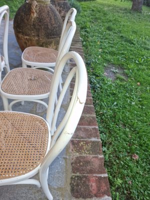 Bistro Chairs in White Painted Beech and Vienna Straw attributed to Michael Thonet, 1980s, Set of 8-EBW-2036243