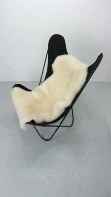 BKF Butterfly Chair attributed to Jorge Hardoy-Ferrari for Knoll, 1960s-DT-2026132