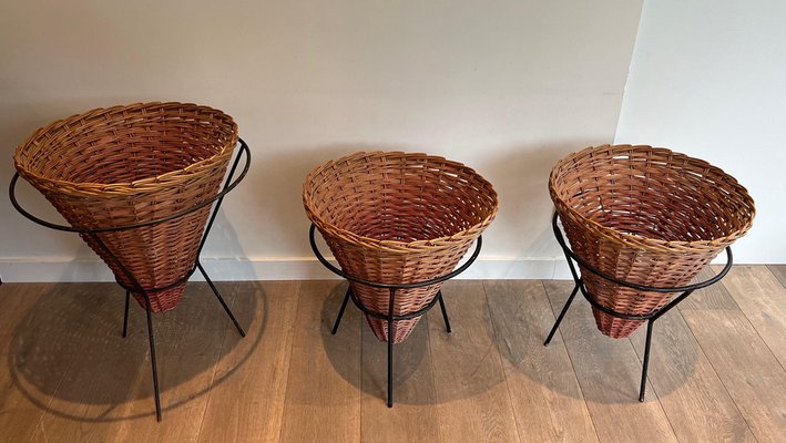 Black and Rattan Lacquered Metal Planters, 1950s, Set of 3-BA-1598978