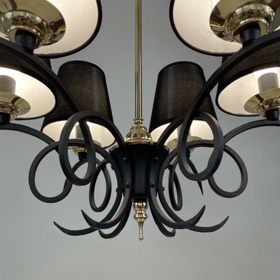 Black Cast Iron and Brass Chandelier from Jean Royere, France, 1950s-OE-1735677