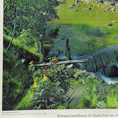 Black Forest House Landscape Scenery River Dam Wall Chart Poster-KJP-1155516